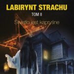 Labirynt strachu Tom 2 Światło jest kapryśne — okładka e-booka