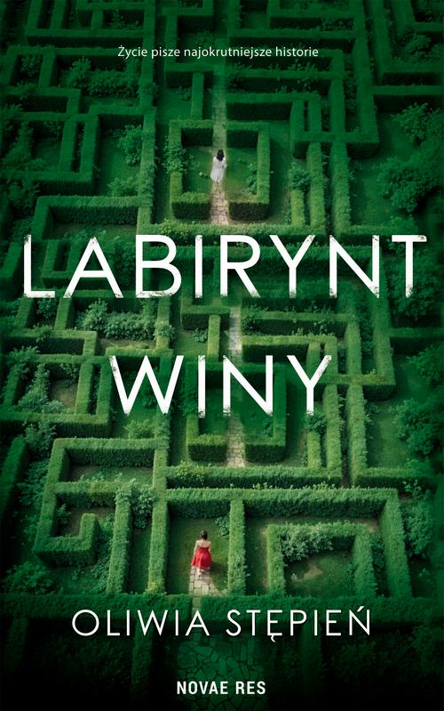 Labirynt winy — okładka e-booka