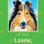 Lassie wróć! — okładka e-booka