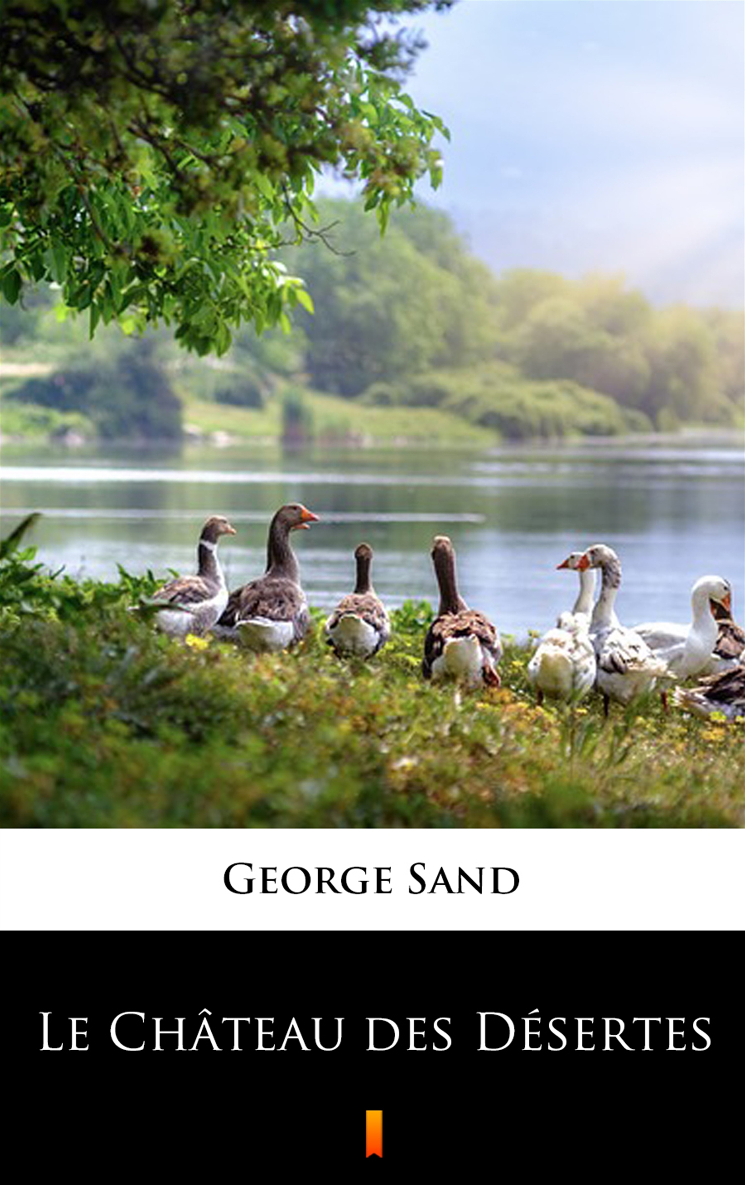 Tytuł: Le Château des Désertes
Autor: George Sand
Wydawnictwo: KtoCzyta.pl
Formaty: EPUB, MOBI