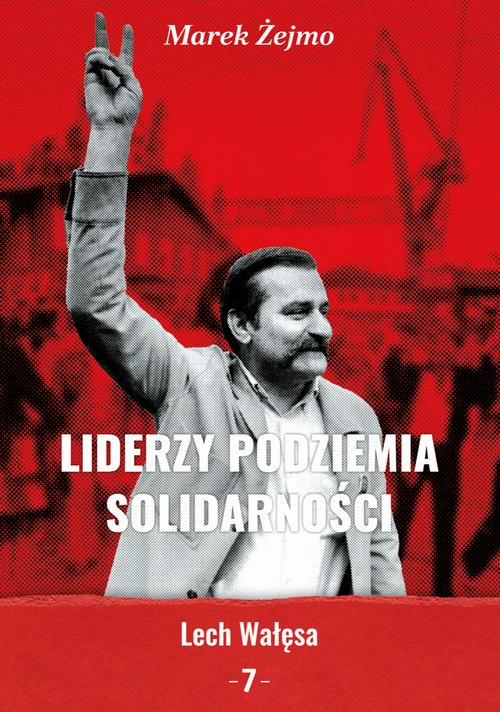 Lech Wałęsa — okładka e-booka