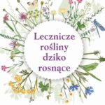 Lecznicze rośliny dziko rosnące. Najskuteczniejsze rośliny w domowej apteczce — okładka e-booka