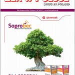 Lek w Polsce 12/2024 — okładka wydania