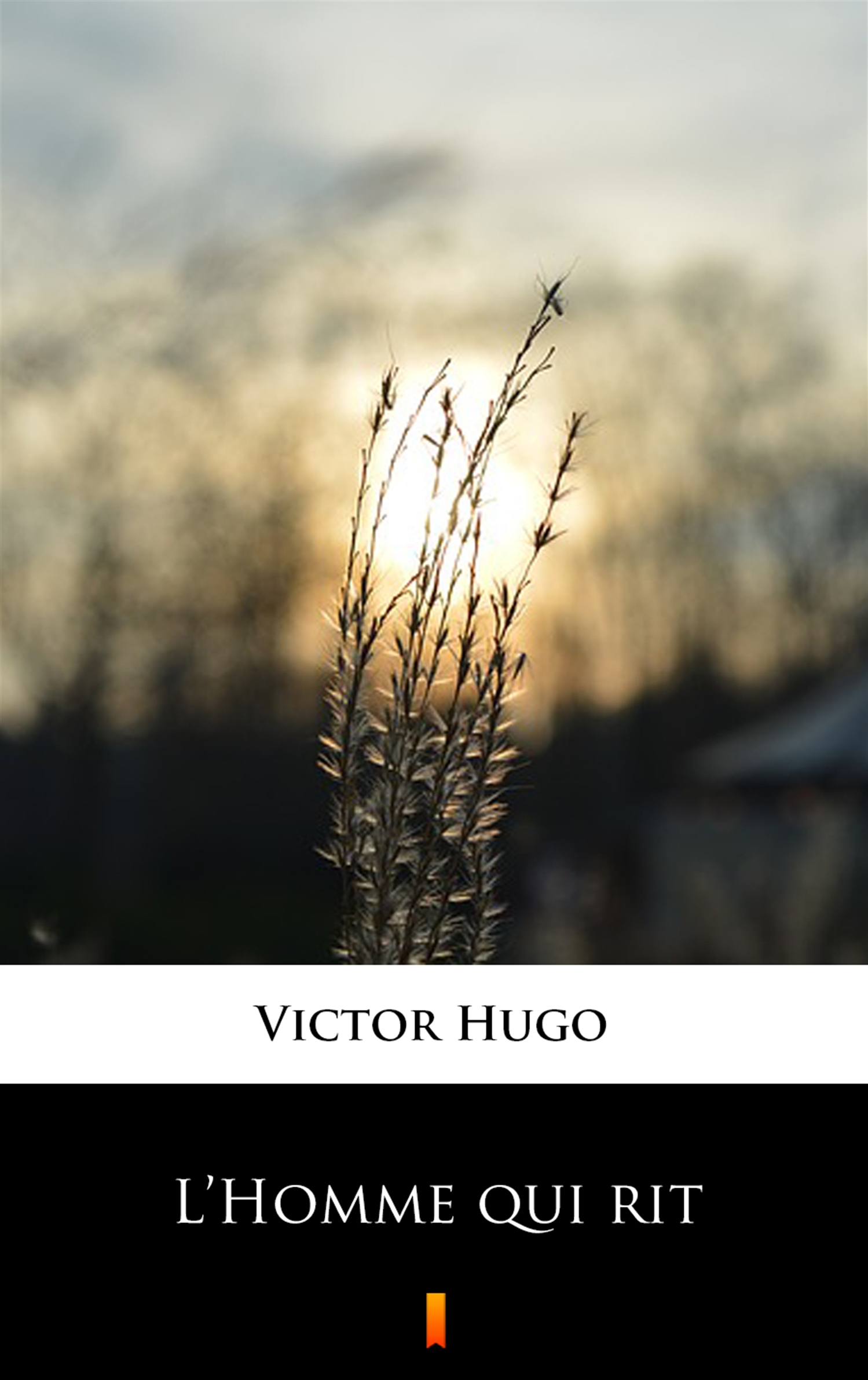 Tytuł: L’Homme qui rit
Autor: Victor Hugo
Wydawnictwo: KtoCzyta.pl
Formaty: EPUB, MOBI