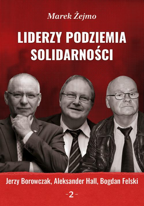 Liderzy podziemia „Solidarności” 2. Jerzy Borowczak, Bogdan Felski, Aleksander Hall — okładka e-booka