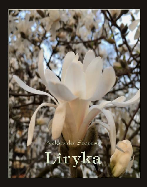Liryka — okładka e-booka