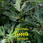 Tytuł: Lispeth i inne nowele
Autor: Rudyard Kipling
Wydawnictwo: Armoryka
Formaty: MOBI, EPUB