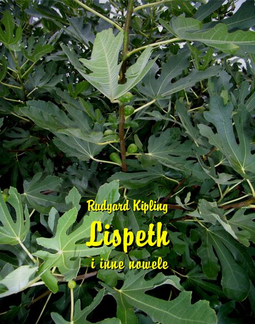 Tytuł: Lispeth i inne nowele
Autor: Rudyard Kipling
Wydawnictwo: Armoryka
Formaty: MOBI, EPUB