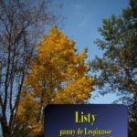 Listy panny de Lespinasse — okładka e-booka
