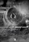 Tytuł: Lost in Passion T.1 Cheat Destiny
Autor: Daria Wieczorek
Wydawnictwo: NieZwykłe
Formaty: MOBI, EPUB