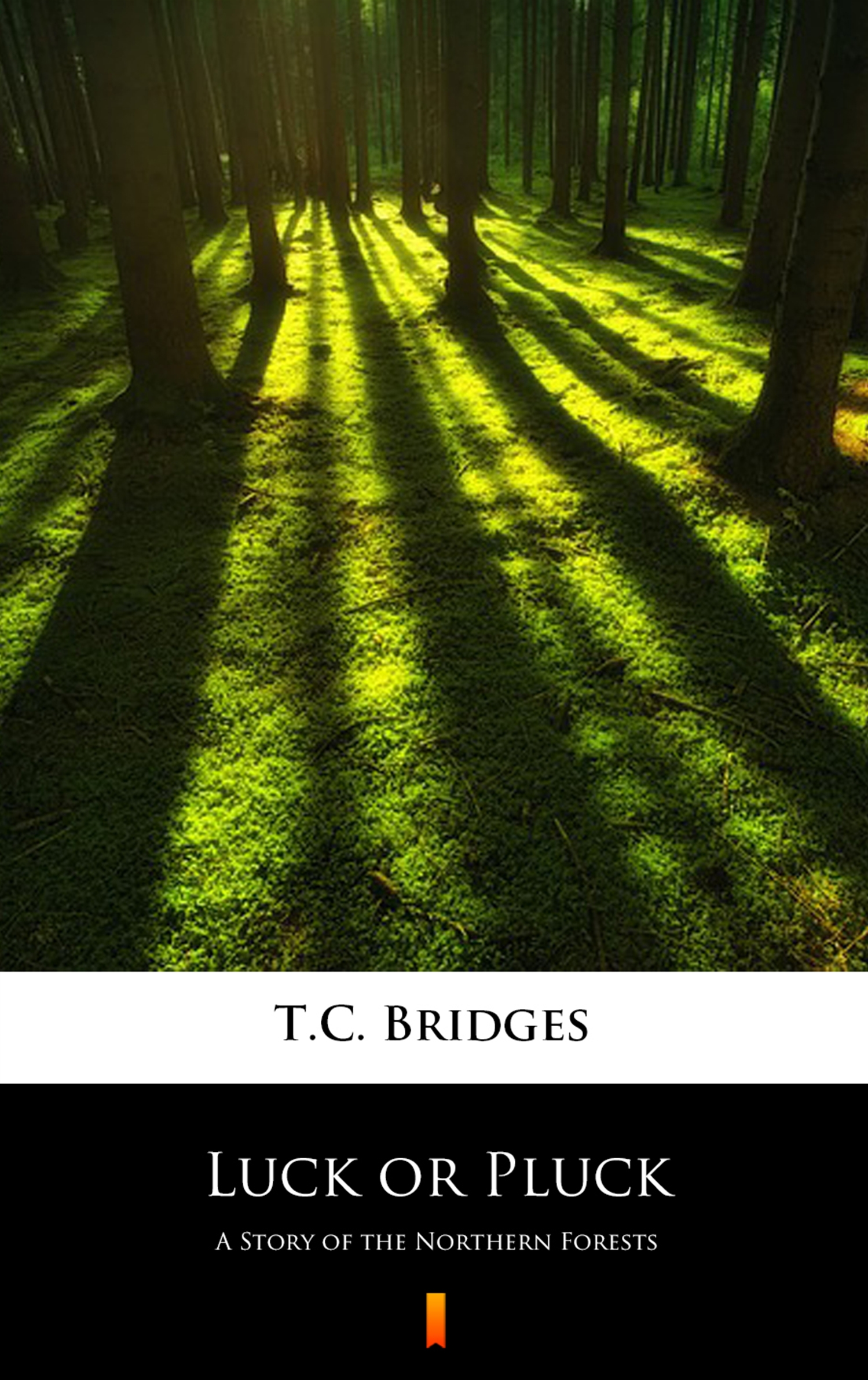 Tytuł: Luck or Pluck. A Story of the Northern Forests
Autor: T.C. Bridges
Wydawnictwo: KtoCzyta.pl
Formaty: EPUB, MOBI