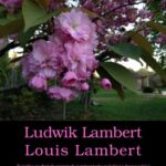 Tytuł: Ludwik Lambert. Louis Lambert
Autor: Honoré de Balzac
Wydawnictwo: Armoryka
Formaty: MOBI, EPUB