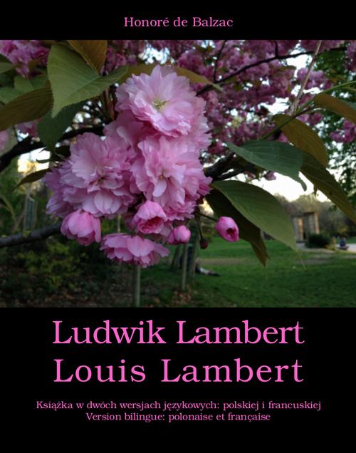 Tytuł: Ludwik Lambert. Louis Lambert
Autor: Honoré de Balzac
Wydawnictwo: Armoryka
Formaty: MOBI, EPUB