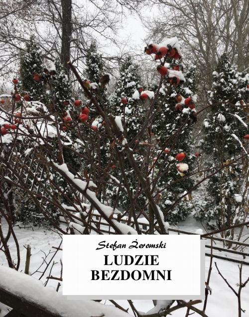 Tytuł: Ludzie bezdomni
Autor: Stefan Żeromski
Wydawnictwo: Armoryka
Formaty: MOBI, EPUB