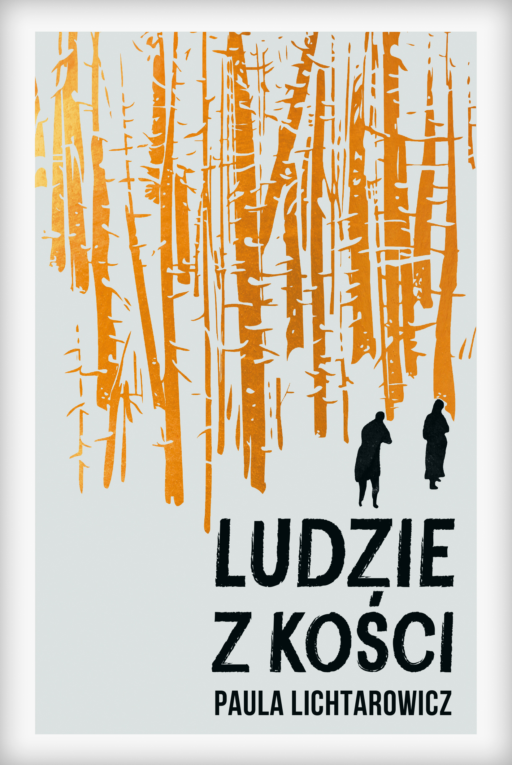 Tytuł: Ludzie z kości
Autor: Paula Lichtarowicz
Wydawnictwo: Insignis Media
Formaty: EPUB, MOBI