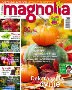 Magnolia 11/2015. Ogród. Balkon. Dom — okładka e-booka
