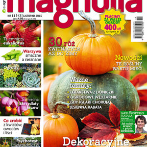 Tytuł: Magnolia 11/2015. Ogród. Balkon. Dom
Autor: 
Wydawnictwo: Wydawnictwo Agora
Formaty: PDF