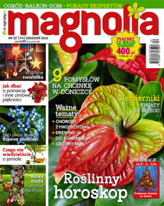 Magnolia 12/2015. Ogród. Balkon. Dom — okładka e-booka