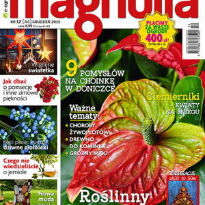 Tytuł: Magnolia 12/2015. Ogród. Balkon. Dom
Autor: 
Wydawnictwo: Wydawnictwo Agora
Formaty: PDF