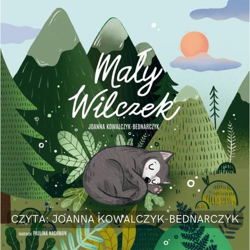 Tytuł: Mały Wilczek
Autor: Joanna Kowalczyk-Bednarczyk
Wydawnictwo: Studio Koloru
Formaty: MP3