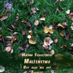 Tytuł: Małżeństwo
Autor: Wacław Sieroszewski
Wydawnictwo: Armoryka
Formaty: MOBI, EPUB