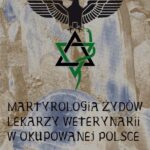 Tytuł: Martyrologia Żydów lekarzy weterynarii w okupowanej Polsce
Autor: Włodzimierz Andrzej Gibasiewicz
Wydawnictwo: Witanet
Formaty: EPUB, MOBI