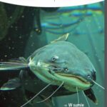 Tytuł: Matematyka w Szkole. Czasopismo dla nauczycieli. Nr 60
Autor: Praca zbiorowa
Wydawnictwo: Gdańskie Wydawnictwo Oświatowe
Formaty: PDF
