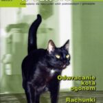 Tytuł: Matematyka w Szkole. Czasopismo dla nauczycieli szkół podstawowych i gimnazjów. Nr 14
Autor: Praca zbiorowa
Wydawnictwo: Gdańskie Wydawnictwo Oświatowe
Formaty: PDF