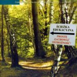 Tytuł: Matematyka w Szkole. Czasopismo dla nauczycieli szkół podstawowych i gimnazjów. Nr 2
Autor: Praca zbiorowa
Wydawnictwo: Gdańskie Wydawnictwo Oświatowe
Formaty: PDF