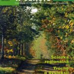 Tytuł: Matematyka w Szkole. Czasopismo dla nauczycieli szkół podstawowych i gimnazjów. Nr 29
Autor: Praca zbiorowa
Wydawnictwo: Gdańskie Wydawnictwo Oświatowe
Formaty: PDF