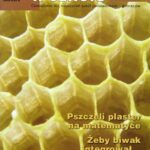 Tytuł: Matematyka w Szkole. Czasopismo dla nauczycieli szkół podstawowych i gimnazjów. Nr 34
Autor: Praca zbiorowa
Wydawnictwo: Gdańskie Wydawnictwo Oświatowe
Formaty: PDF