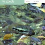 Tytuł: Matematyka w Szkole. Czasopismo dla nauczycieli szkół podstawowych i gimnazjów. Nr 43
Autor: Praca zbiorowa
Wydawnictwo: Gdańskie Wydawnictwo Oświatowe
Formaty: PDF