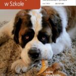 Tytuł: Matematyka w Szkole. Czasopismo dla nauczycieli szkół podstawowych i gimnazjów. Nr 49
Autor: Praca zbiorowa
Wydawnictwo: Gdańskie Wydawnictwo Oświatowe
Formaty: PDF
