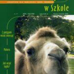 Tytuł: Matematyka w Szkole. Czasopismo dla nauczycieli szkół średnich. Nr 17
Autor: Praca zbiorowa
Wydawnictwo: Gdańskie Wydawnictwo Oświatowe
Formaty: PDF