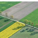 Tytuł: Matematyka w Szkole. Czasopismo dla nauczycieli szkół średnich. Nr 38
Autor: Praca zbiorowa
Wydawnictwo: Gdańskie Wydawnictwo Oświatowe
Formaty: PDF