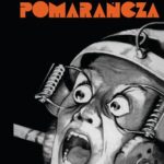 Tytuł: Mechaniczna Pomarańcza
Autor: Anthony Burgess
Wydawnictwo: Vis-a-vis Etiuda
Formaty: EPUB, MOBI