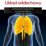 Medycyna holistyczna. Tom IV - Układ oddechowy. Dotlenienie organizmu i usuwanie toksyn — okładka e-booka