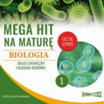 Tytuł: Mega hit na maturę. Geografia 1. Elementy kartografii, astronomii i geologii
Autor: Adam Sochaczewski, Anna Borowicz, Karolina Wolszczak
Wydawnictwo: Storybox
Formaty: MP3