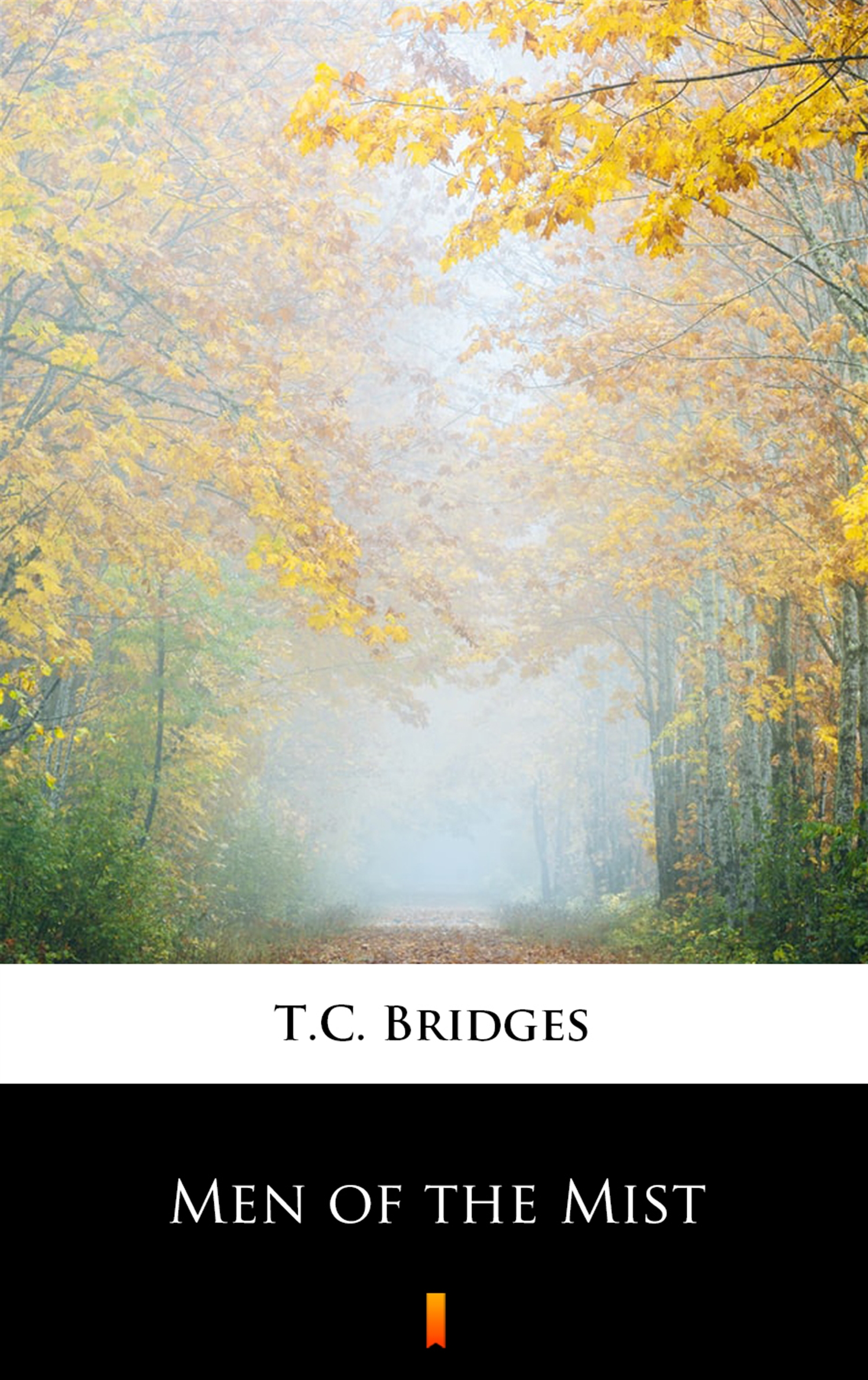 Tytuł: Men of the Mist
Autor: T.C. Bridges
Wydawnictwo: KtoCzyta.pl
Formaty: EPUB, MOBI
