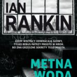 MĘTNA WODA — okładka e-booka