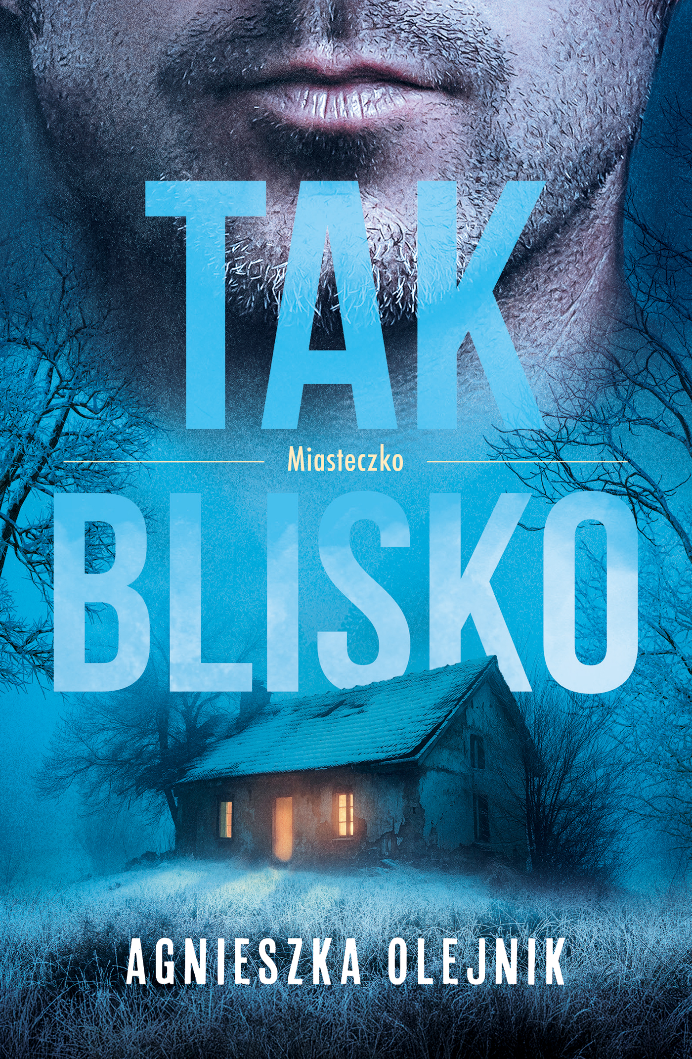 Tytuł: Miasteczko (Tom 2). Tak blisko
Autor: Agnieszka Olejnik
Wydawnictwo: Książnica
Formaty: EPUB, MOBI