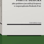 Miejsce zwykłego pobytu dziecka jako podstawa jurysdykcji krajowej w rozporządzeniu Bruksela II ter — okładka e-booka