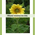 Miłość niejedno ma imię — okładka e-booka