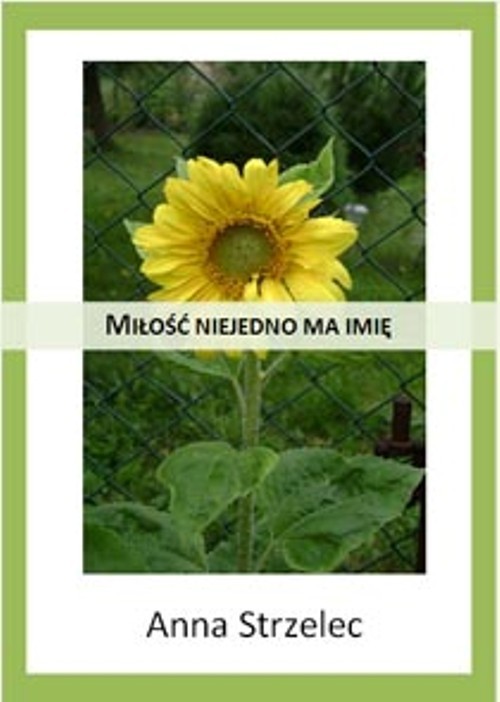 Miłość niejedno ma imię — okładka e-booka