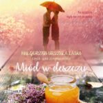 Tytuł: Miód w deszczu
Autor: Małgorzata Urszula Laska
Wydawnictwo: Storybox
Formaty: MP3