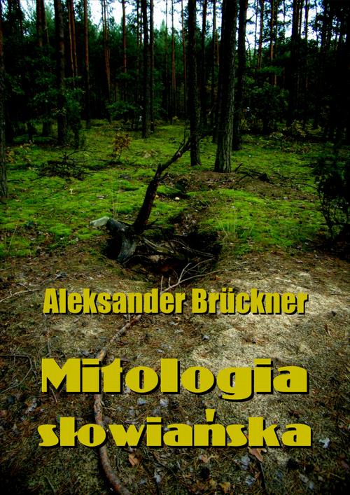 Tytuł: Mitologia słowiańska
Autor: Aleksander Brückner
Wydawnictwo: Armoryka
Formaty: EPUB, MOBI