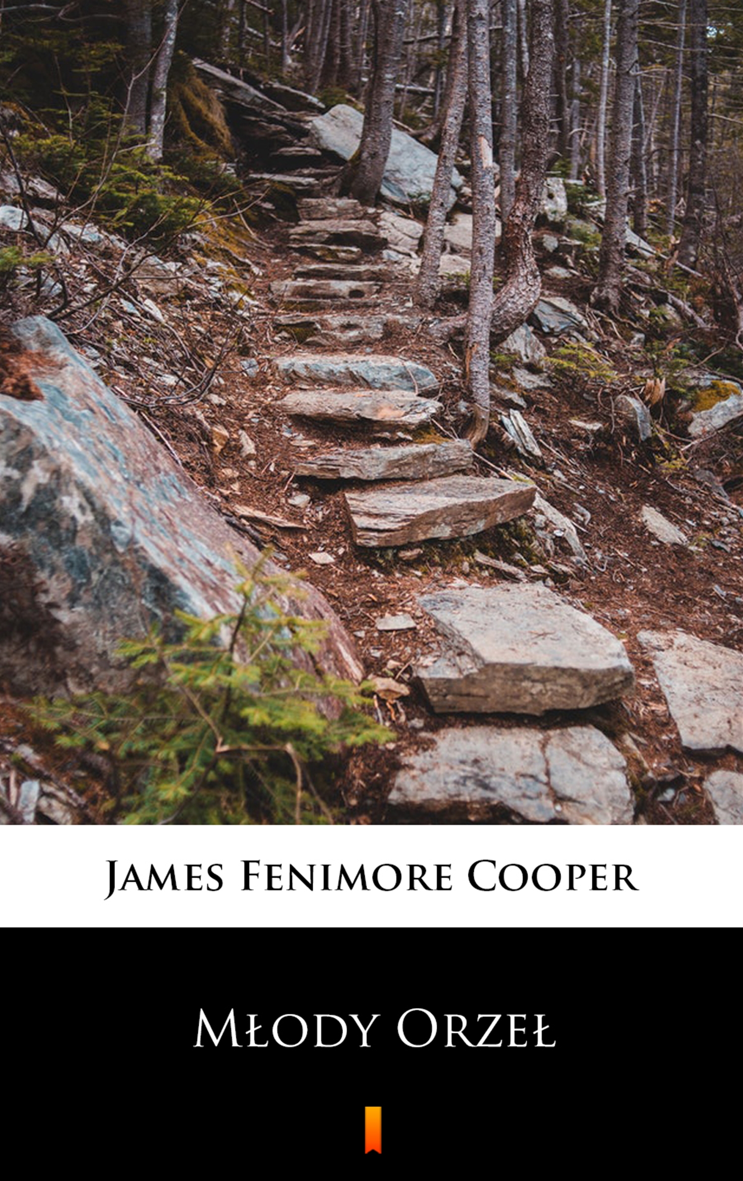 Tytuł: Młody Orzeł
Autor: James Fenimore Cooper
Wydawnictwo: KtoCzyta.pl
Formaty: EPUB, MOBI