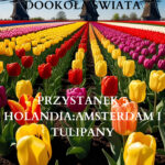 Tytuł: Moja szalona podróż dookoła świata: Holandia Amsterdam i tulipany
Autor: Dorota Sawicka
Wydawnictwo: Ebookowo
Formaty: EPUB, MOBI