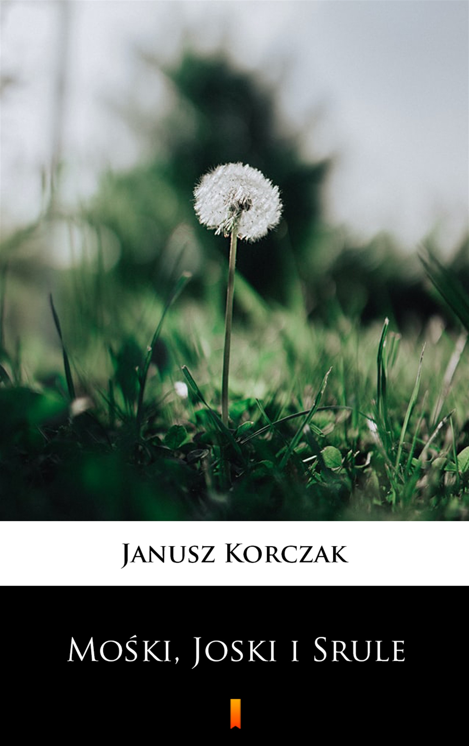 Tytuł: Mośki, Joski i Srule
Autor: Janusz Korczak
Wydawnictwo: KtoCzyta.pl
Formaty: EPUB, MOBI