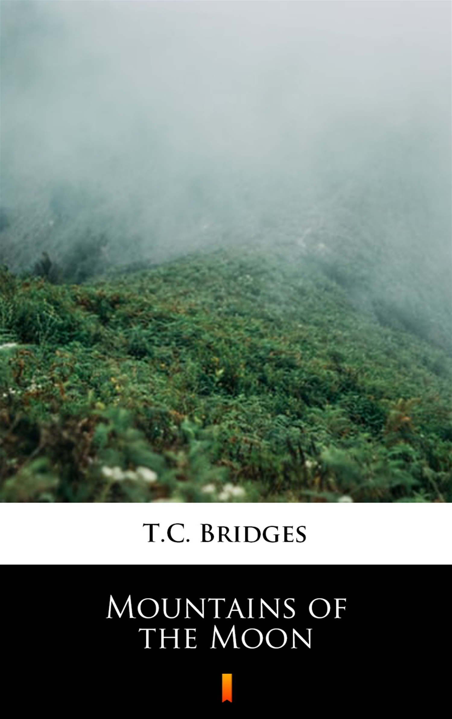 Tytuł: Mountains of the Moon
Autor: T.C. Bridges
Wydawnictwo: KtoCzyta.pl
Formaty: EPUB, MOBI
